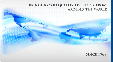 Coast Tropicals - Bringing you quality aquatic livestock from around the world
